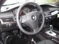 2010 Jet Black BMW 5 Series 528i xDrive Sedan  photo #9