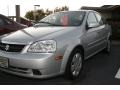 2006 Titanuim Silver Metallic Suzuki Forenza Sedan  photo #23