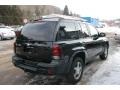 2007 Black Chevrolet TrailBlazer LS 4x4  photo #12