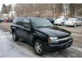Black - TrailBlazer LS 4x4 Photo No. 17