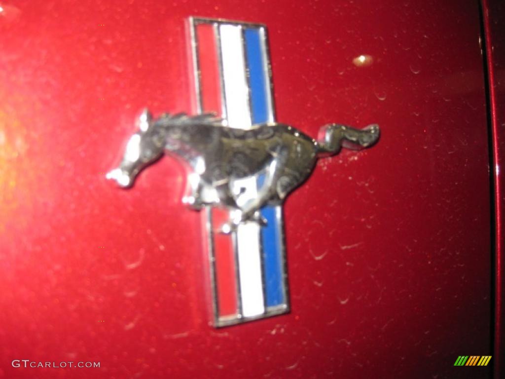 2003 Mustang V6 Coupe - Redfire Metallic / Medium Graphite photo #8
