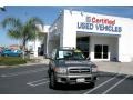 Bronzed Gray Metallic - Pathfinder LE Photo No. 3