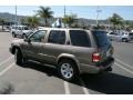 Bronzed Gray Metallic - Pathfinder LE Photo No. 8