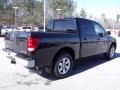 Galaxy Black - Titan XE Crew Cab Photo No. 5