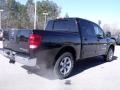 2010 Galaxy Black Nissan Titan SE Crew Cab  photo #5