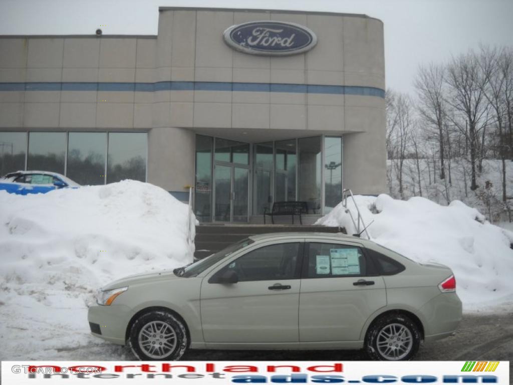 Natural Neutral Metallic Ford Focus