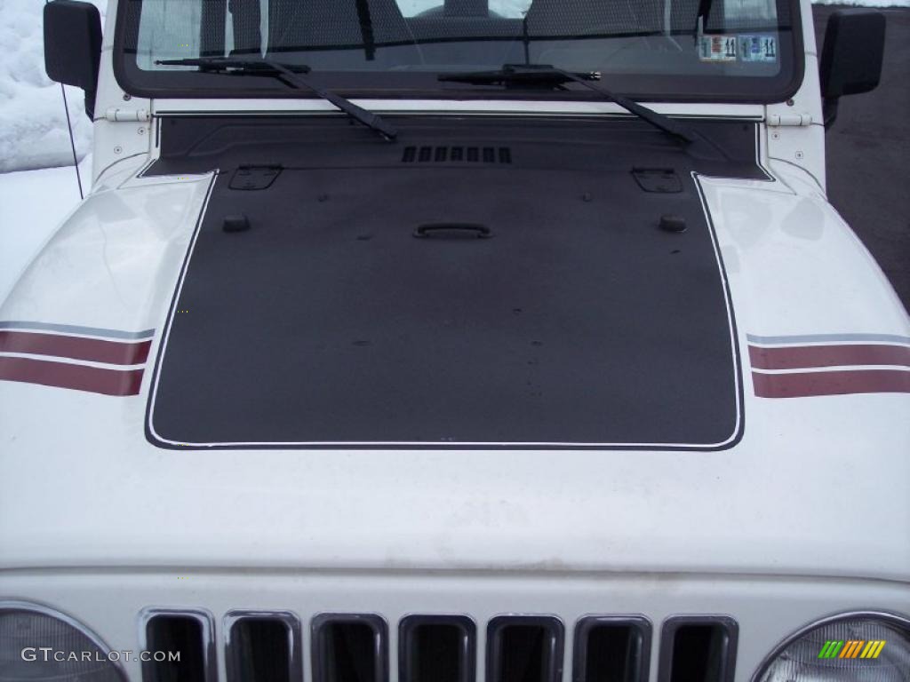 2000 Wrangler SE 4x4 - Stone White / Agate photo #12