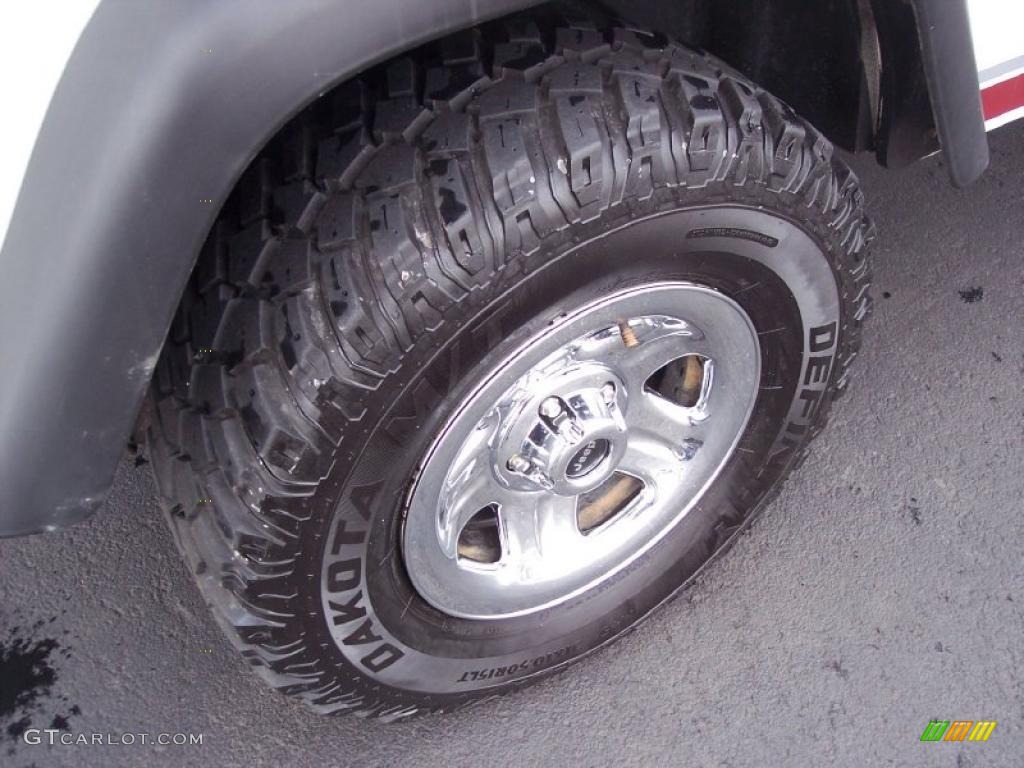 2000 Wrangler SE 4x4 - Stone White / Agate photo #53
