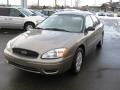 2007 Arizona Beige Metallic Ford Taurus SE  photo #9