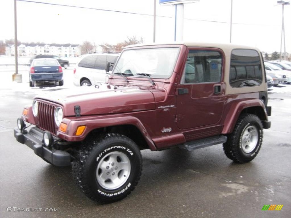 2001 Wrangler Sahara 4x4 - Sienna Pearl / Camel/Dark Green photo #9