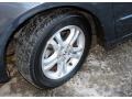 2007 Graphite Pearl Honda Accord EX-L Sedan  photo #23