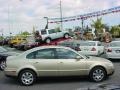 Mojave Beige Metallic - Passat GLX Sedan Photo No. 2