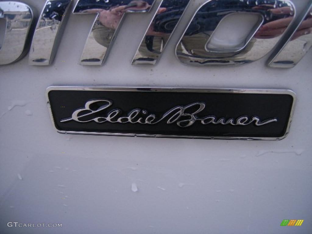 2004 Expedition Eddie Bauer 4x4 - Oxford White / Medium Parchment photo #12