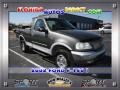 Dark Shadow Grey Metallic 2002 Ford F150 XLT Regular Cab 4x4