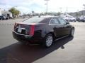 Black Raven - CTS 3.0 Sedan Photo No. 7