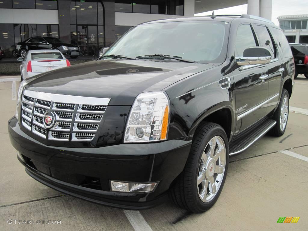 2010 Escalade Luxury - Black Raven / Ebony photo #1