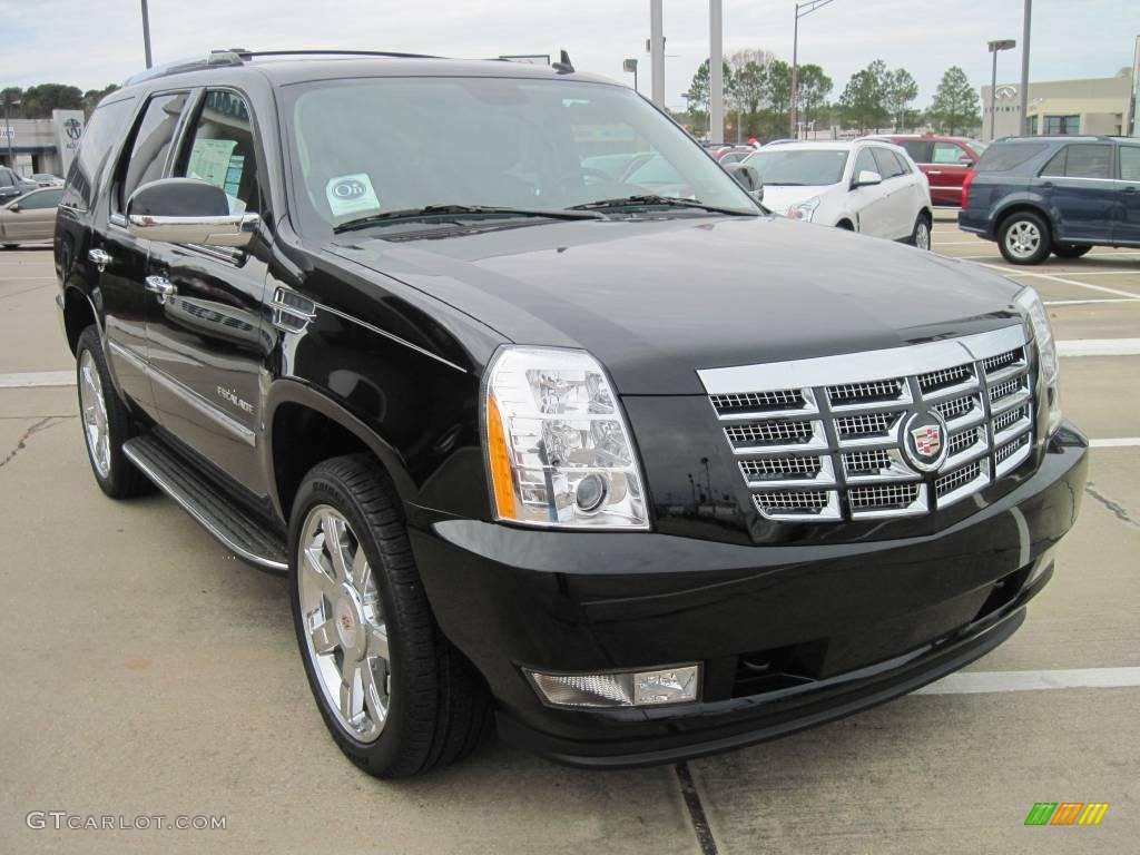 2010 Escalade Luxury - Black Raven / Ebony photo #2