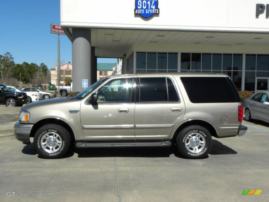 2002 Expedition XLT - Arizona Beige Metallic / Medium Parchment photo #2