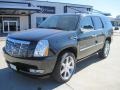 Black Ice 2010 Cadillac Escalade Premium