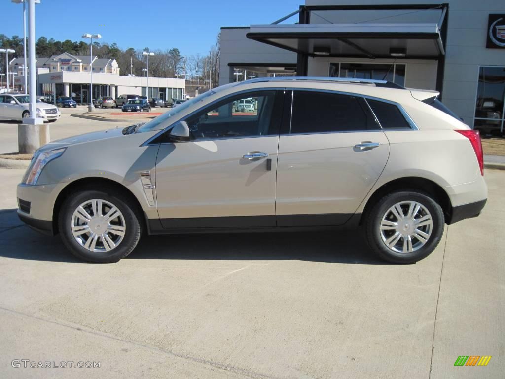2010 SRX V6 - Gold Mist / Shale/Ebony photo #3