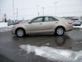 Titanium Metallic - Camry Hybrid Photo No. 8