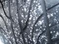 Satin Silver Metallic - TL 3.2 Photo No. 16