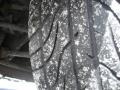 Satin Silver Metallic - TL 3.2 Photo No. 18