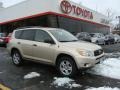2007 Savannah Metallic Toyota RAV4 4WD  photo #1