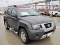 Night Armor Metallic - Xterra SE Photo No. 2