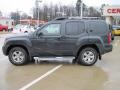 Night Armor Metallic - Xterra SE Photo No. 3
