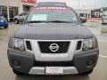 Night Armor Metallic - Xterra SE Photo No. 5