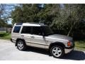 Blenheim Silver Metallic - Discovery SE Photo No. 12