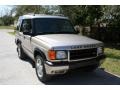 2001 Blenheim Silver Metallic Land Rover Discovery SE  photo #14