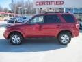 2009 Sangria Red Metallic Ford Escape XLT V6 4WD  photo #3