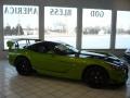 2009 Viper Snakeskin Green Pearl Dodge Viper SRT-10 ACR Coupe  photo #7