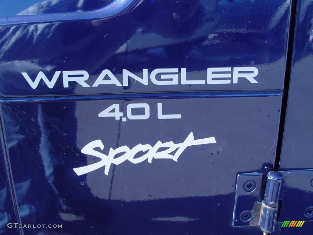 1998 Wrangler Sport 4x4 - Lapis Blue / Gray photo #6