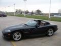 Viper Black - Viper RT-10 Photo No. 26