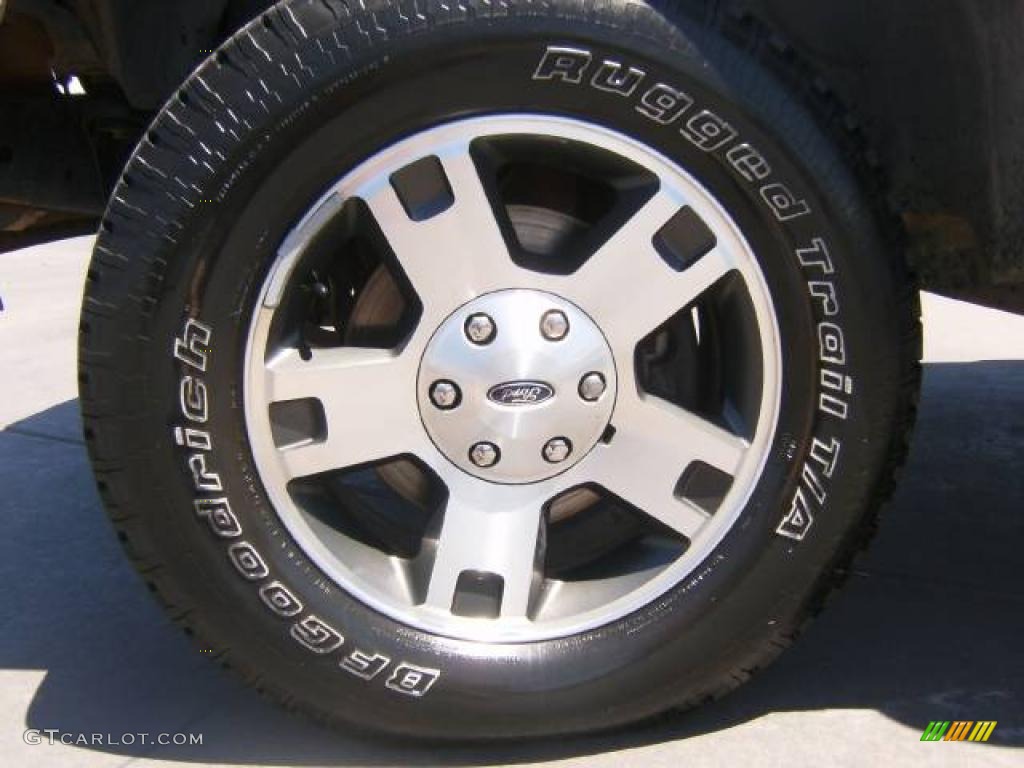 2005 F150 STX SuperCab 4x4 - Silver Metallic / Medium Flint Grey photo #19