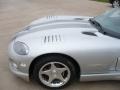 Viper Bright Silver Metallic - Viper RT-10 Photo No. 19