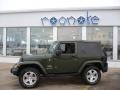 2008 Jeep Green Metallic Jeep Wrangler Sahara 4x4  photo #1