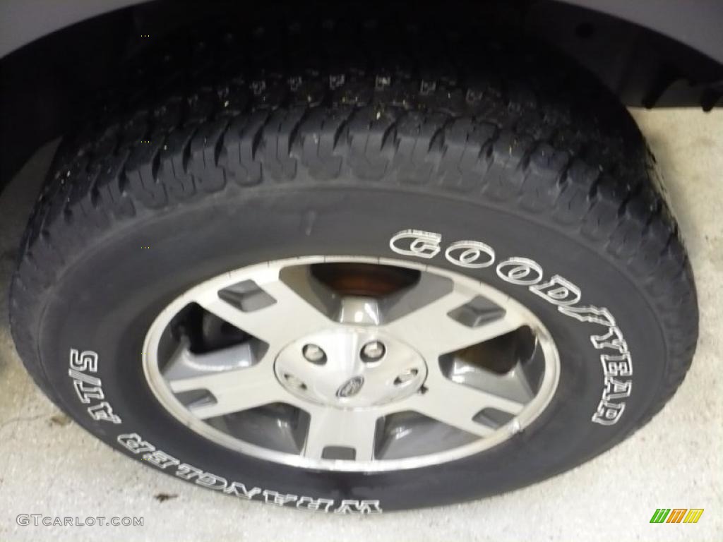 2004 F150 FX4 SuperCrew 4x4 - Bright Red / Black/Medium Flint photo #9