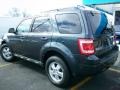 2009 Sterling Grey Metallic Ford Escape XLT V6 4WD  photo #6