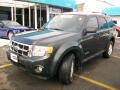 2008 Black Pearl Slate Metallic Ford Escape XLT V6 4WD  photo #4