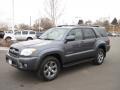 2006 Shadow Mica Toyota 4Runner Limited 4x4  photo #5