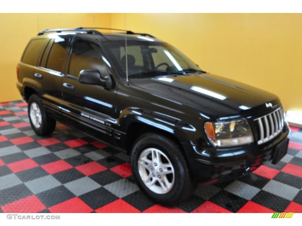 2004 Grand Cherokee Laredo 4x4 - Brillant Black Crystal Pearl / Dark Slate Gray photo #1