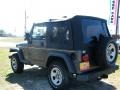 2001 Steel Blue Pearl Jeep Wrangler SE 4x4  photo #3