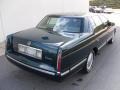 Polo Green Metallic - DeVille Sedan Photo No. 4
