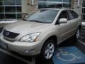 Savannah Metallic - RX 350 AWD Photo No. 2