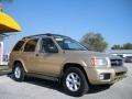 Luminous Gold Metallic - Pathfinder SE Photo No. 3