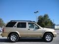 Luminous Gold Metallic - Pathfinder SE Photo No. 4